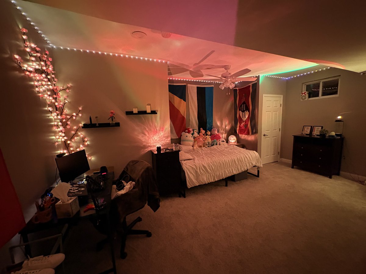 celstel_'s tweet photo. it’s time for my regularly scheduled room posting okay byebye https://t.co/oovGUKmaxm