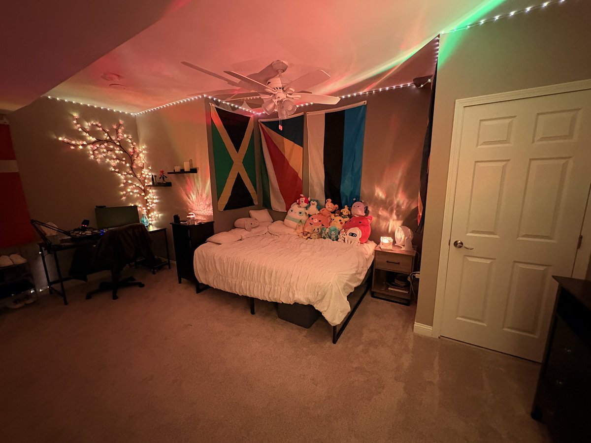 celstel_'s tweet photo. it’s time for my regularly scheduled room posting okay byebye https://t.co/oovGUKmaxm