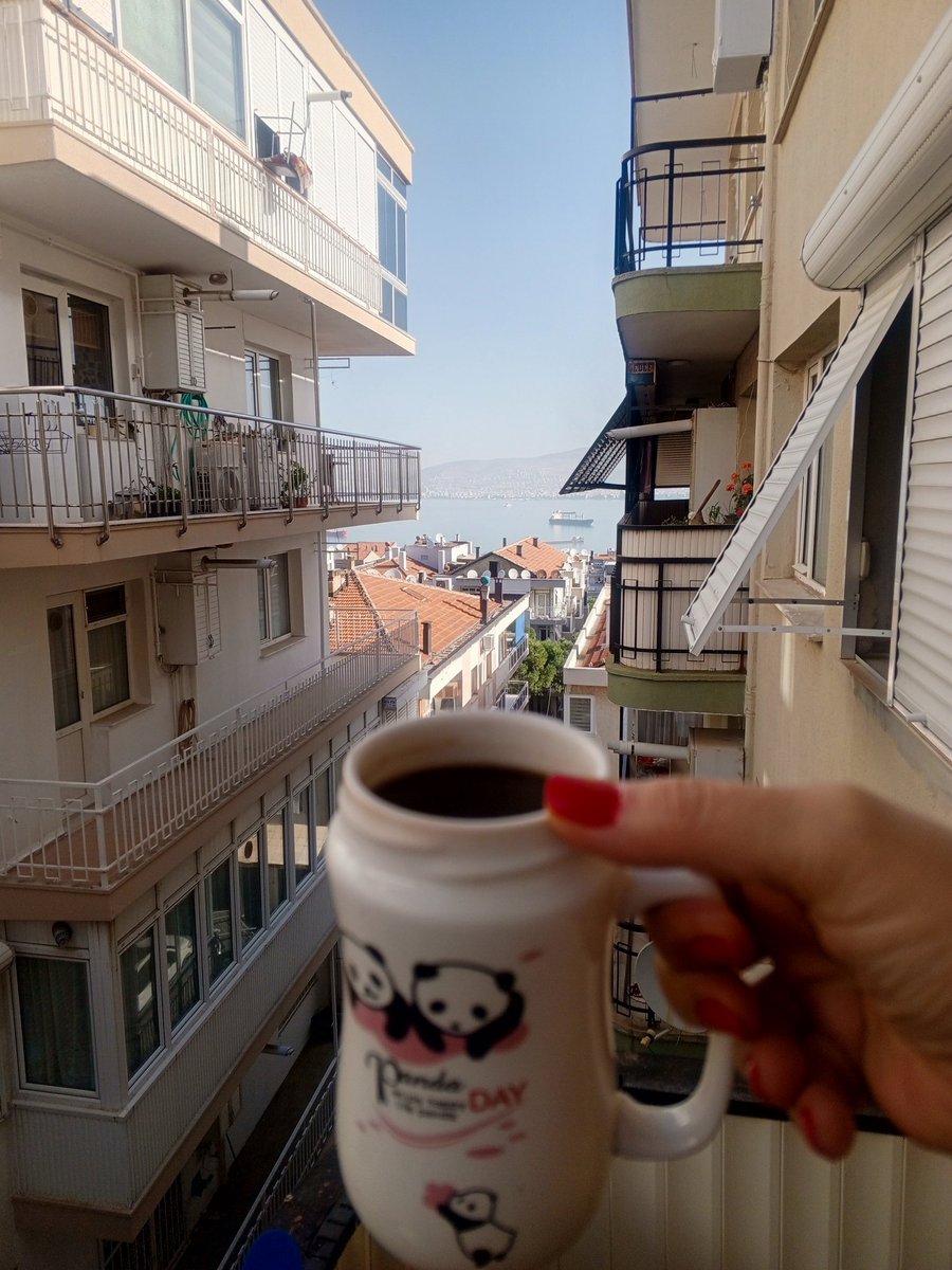 madammtulip's tweet photo. Günaydın 🐼☕🎈
Kahve elde, kalp hafif, hayaller gökyüzünde.
Bugün yavaş iç, derin hisset, nazikçe parılda 😉
Enerjin bulaşıcı olsun 💫
#coffeemood #pandalife #softstart https://t.co/lHwOoMOT6o