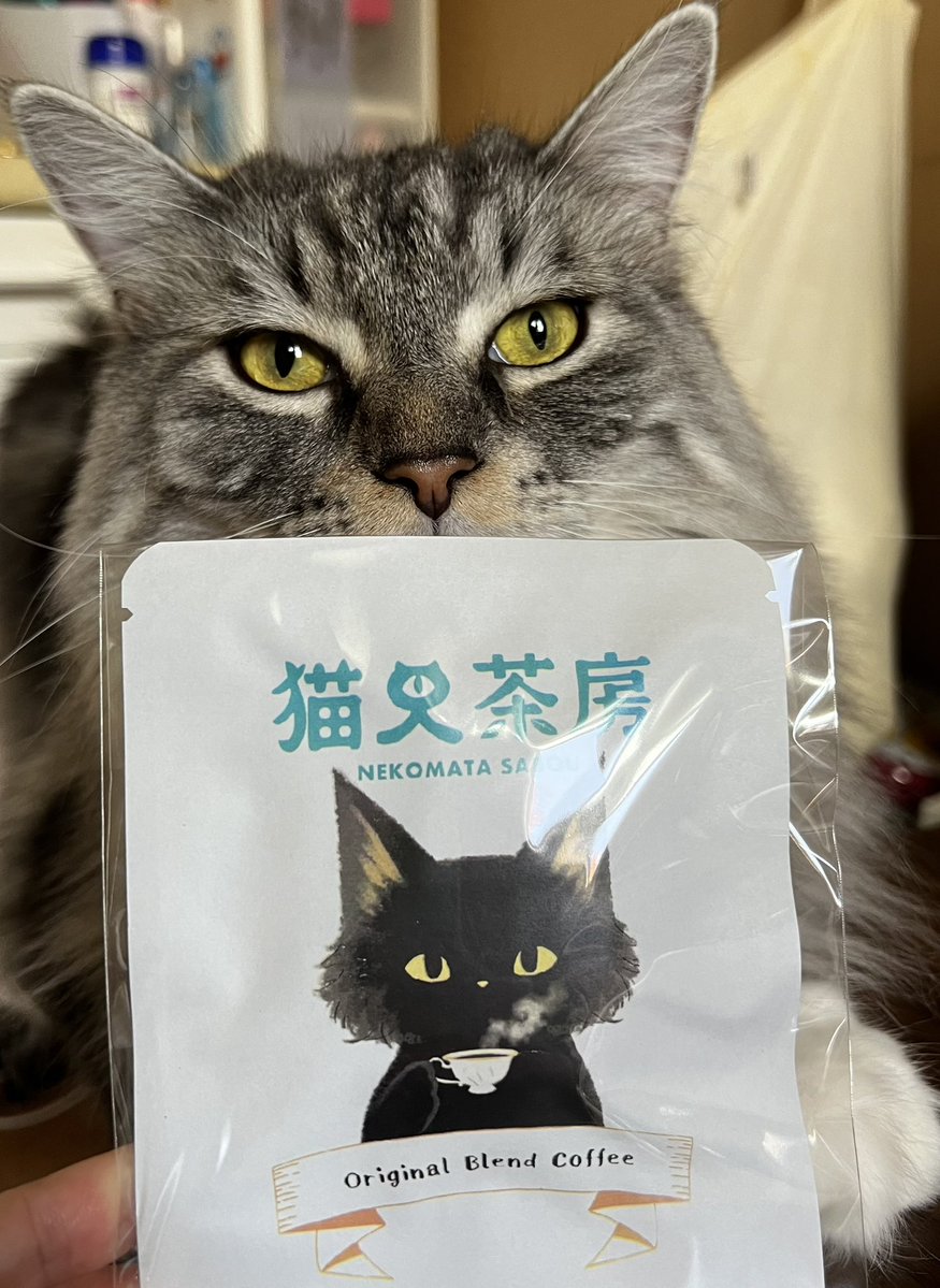 猫屋敷 (@harapeko234) / Posts / X