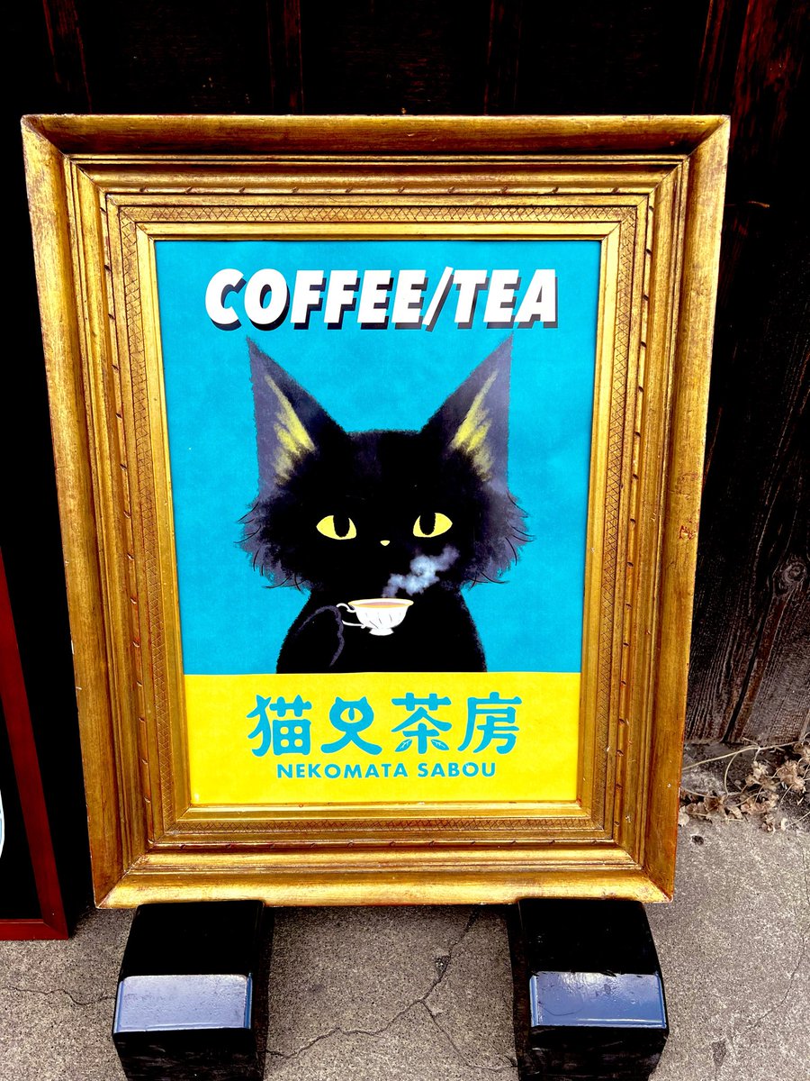 猫屋敷 (@harapeko234) / Posts / X