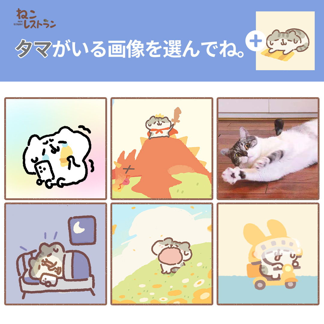 ねこのレストラン確認用 ねこレストラン【公式】 (@nekorestaurant_) / Highlights / X