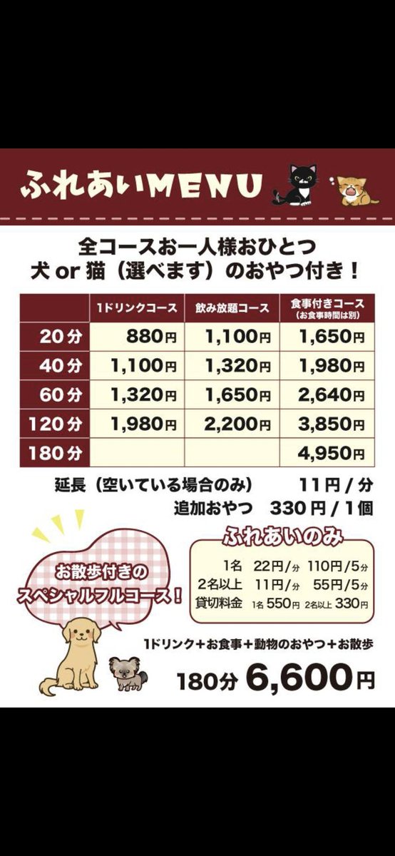 アニマルカフェけだま【貸切ふれあいのため予約制】 tweet media
