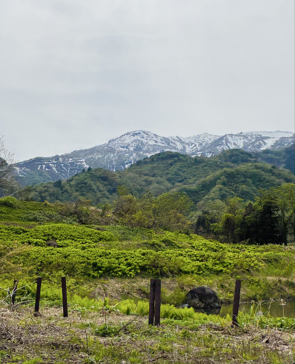 ABCRUX_okinawa's tweet photo. GWは出張などで、埼玉&amp;都内、新潟、富山、長野、都内と2週間ほど放浪してました。（直前に急に決めてバタバタでした😅💦）昨日から社会復帰してますが、ものすごく休みボケしているABCRUXです！ https://t.co/u1JG7DQdre