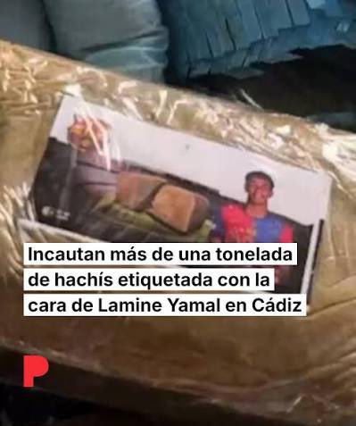 polilla tweet media