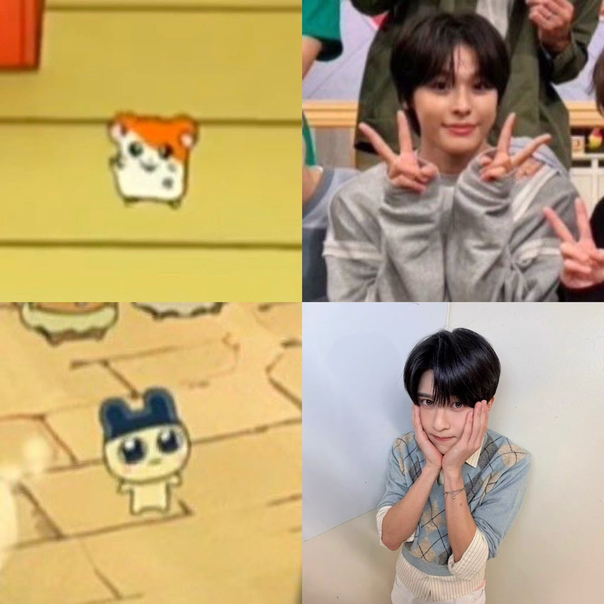 chair🌷⋆˚ ʚїɞ tweet media