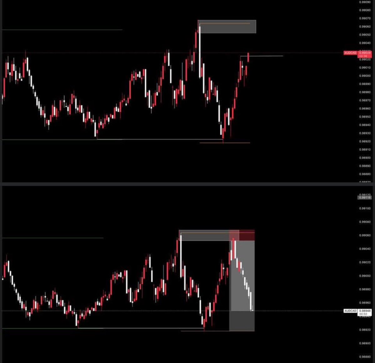 Born To Trade tweet media
