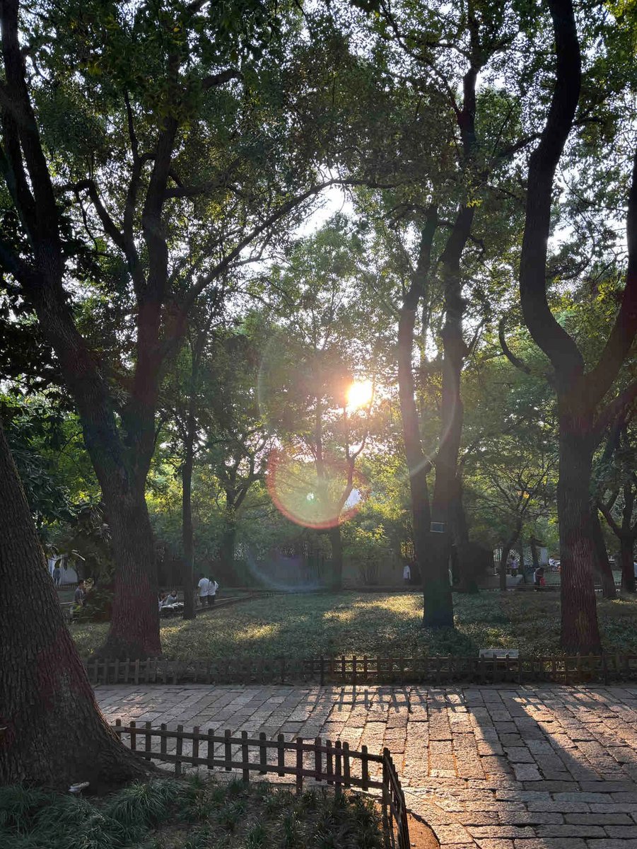anxfddiro's tweet photo. ちょっと一息、午後の散歩道。🐾
木陰の涼しさと、あたたかい夕暮れ前の光が心地いい。
こんな日は、時間を忘れてのんびり過ごしたくなりますね。☕️ https://t.co/NTmXo5e2Iu