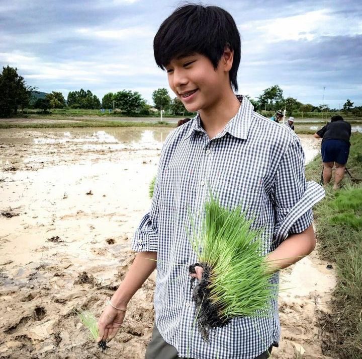 พลัมจัง tweet media