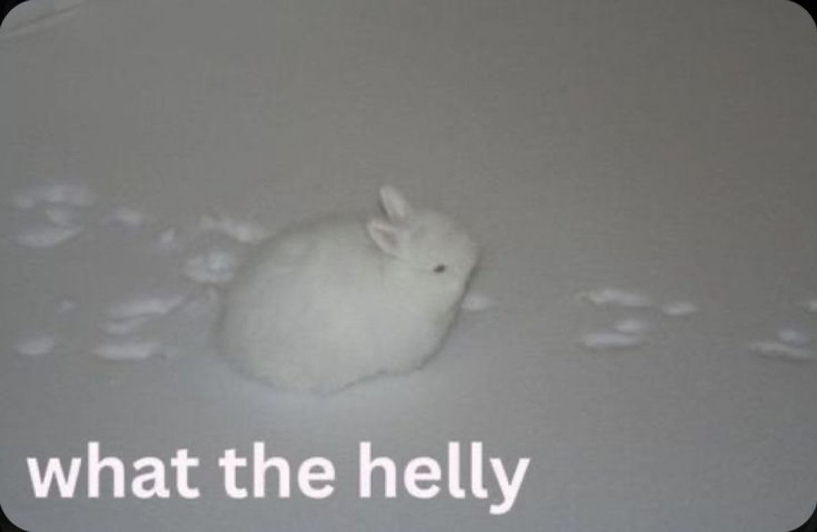 bunny tweet media