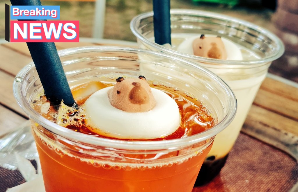left4773's tweet photo. 速報、カピバラタピオカドリンクに浮かぶ https://t.co/wMIsnOUk5K