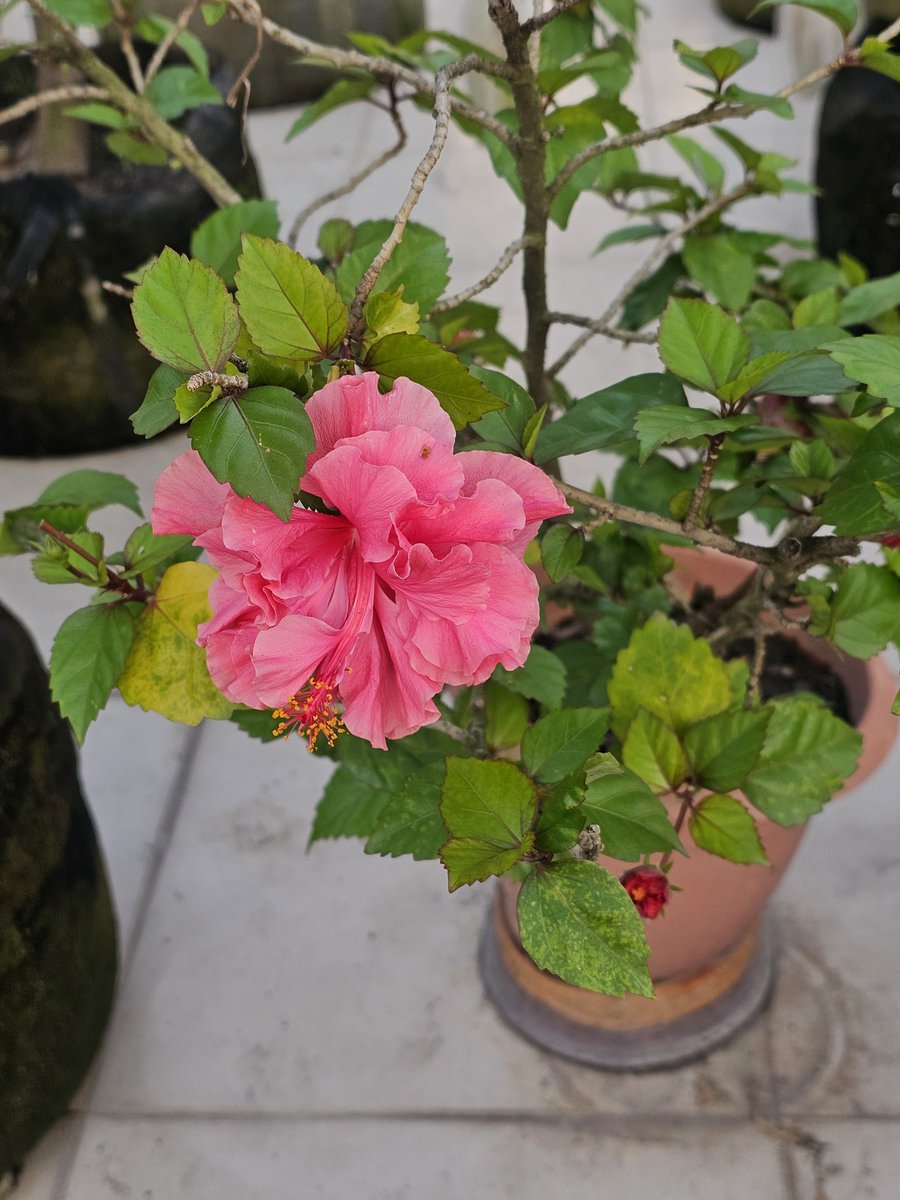 CookhouseT27291's tweet photo. ভাগ্য বড়ই অদ্ভুত! 
কাউকে দেয় দুহাত ভরে আবার কাউকে শুধু 
সারা জীবন অপেক্ষা আর দীর্ঘশ্বাসের সাগরে ডুবিয়ে রাখে! 😥! https://t.co/8rEailW7L2