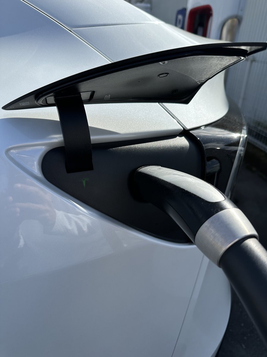 Tesla Delivery Insight JP tweet media