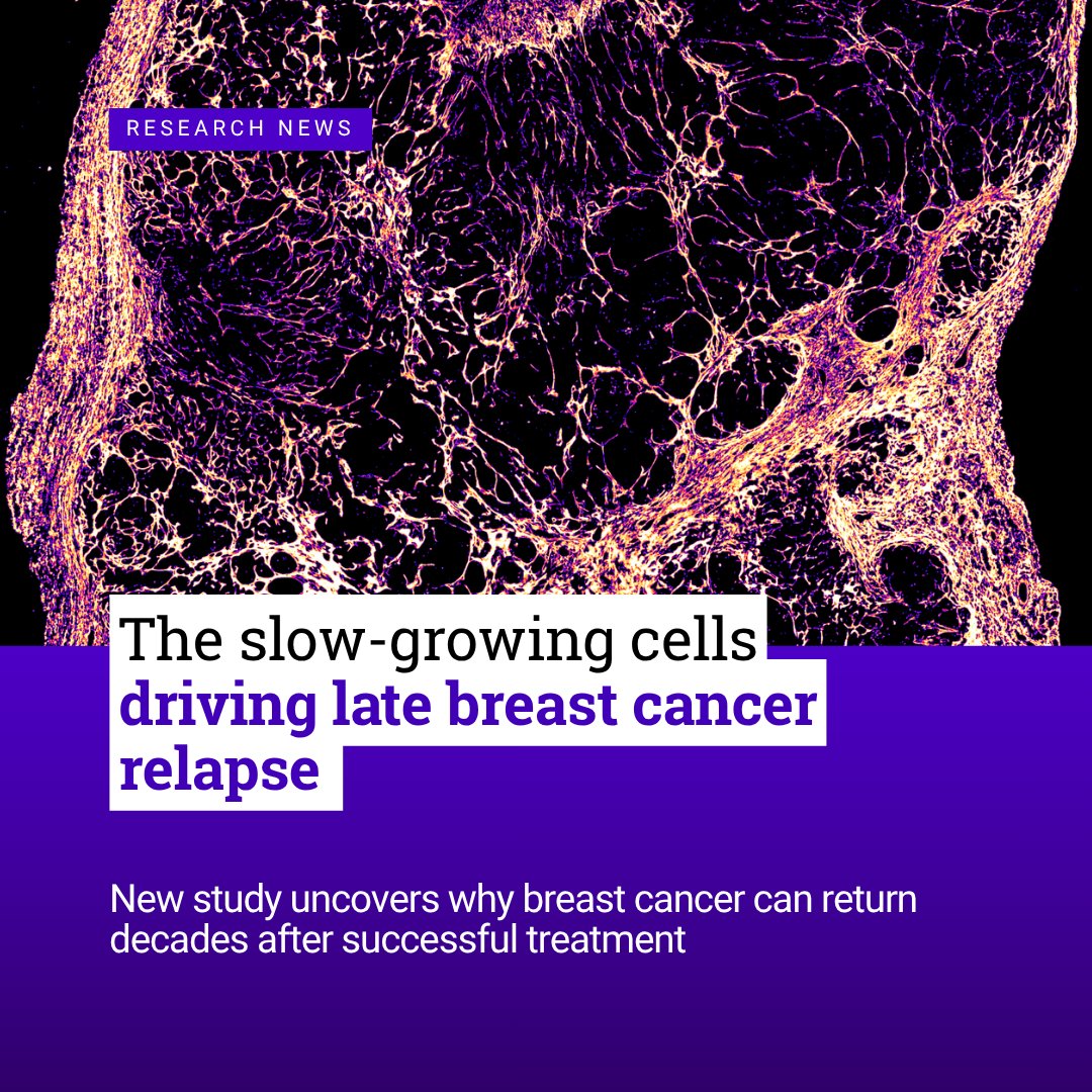 Garvan Institute of Medical Research tweet media