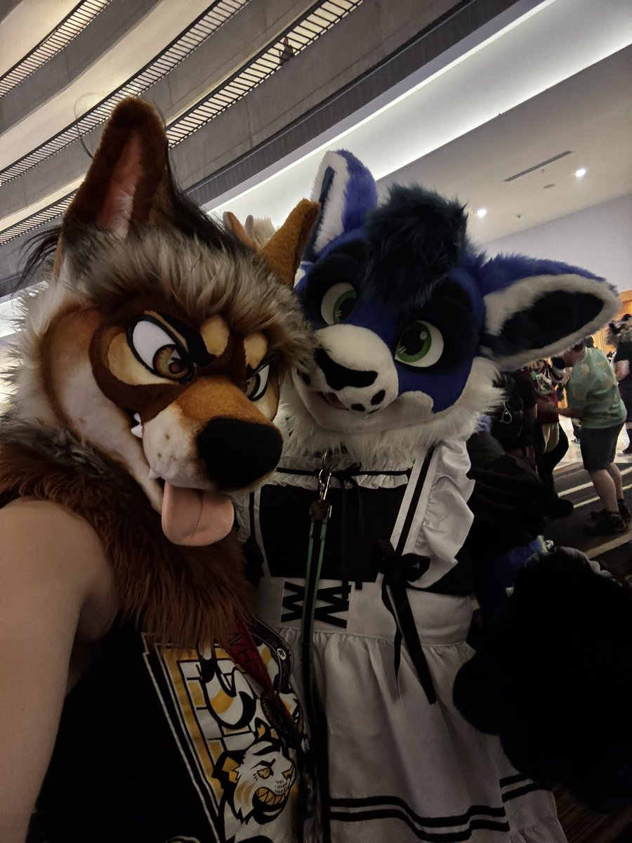 Rustic Yote tweet media