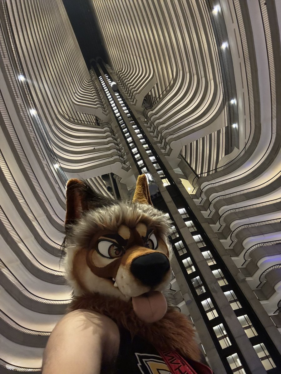 Rustic Yote tweet media