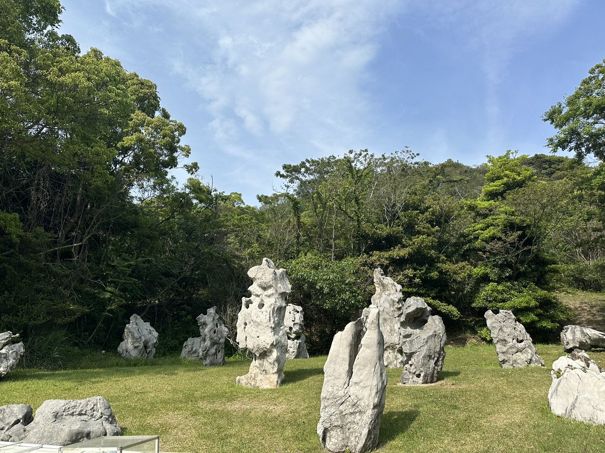 mayu tweet media