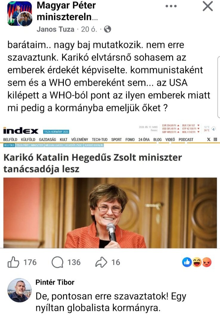 Bede Zsolt tweet media