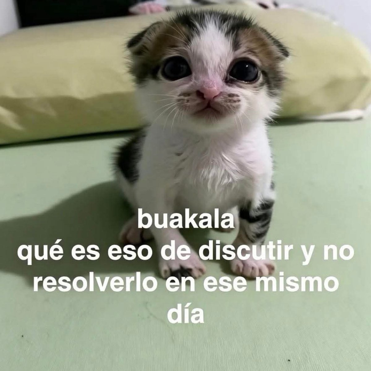 ojoscol0rsol's tweet photo. https://t.co/VkSnYkS63v