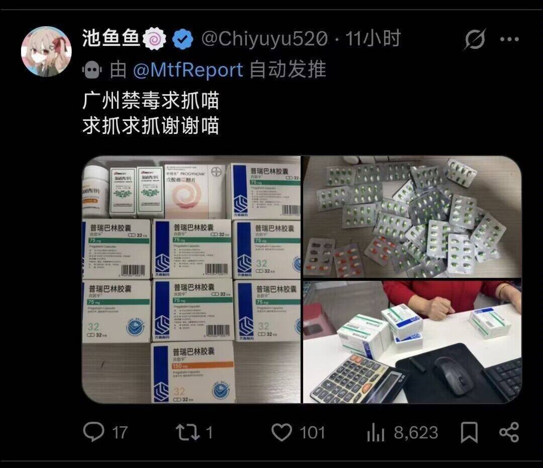 磊哥聊政经 tweet media