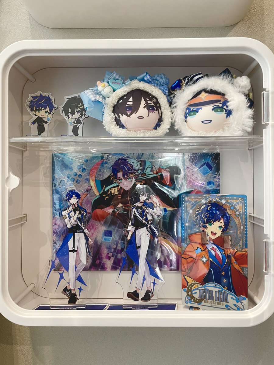 ぴょこぴょこ　표코표코 tweet media
