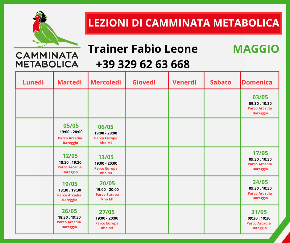 Fabio Leone Trainer di Camminata Metabolica tweet media