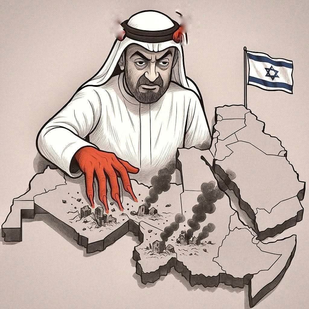 أبو مروة المهاجر tweet media