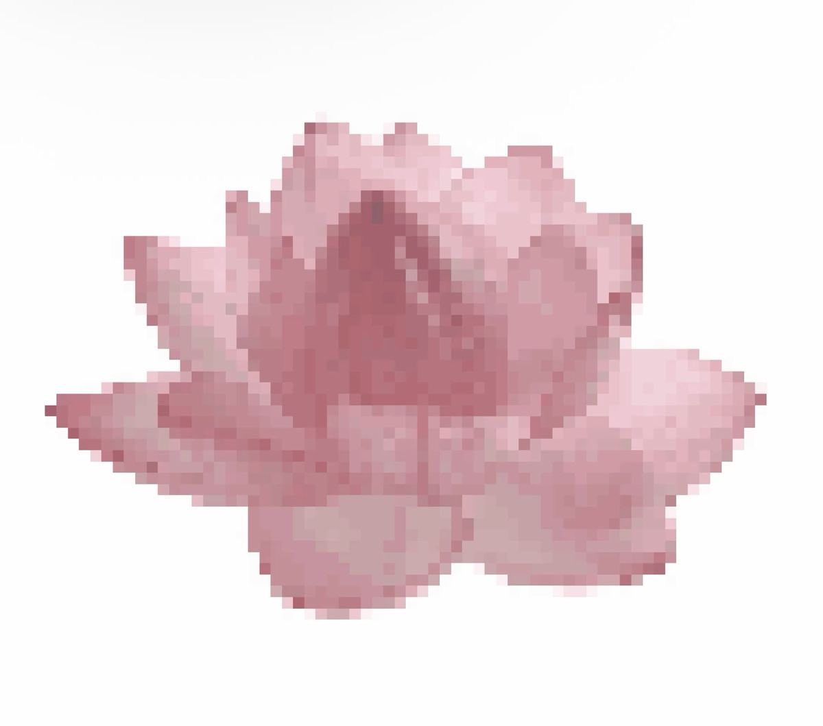 nana⊹ ࣪ ˖ ໒꒱ tweet media