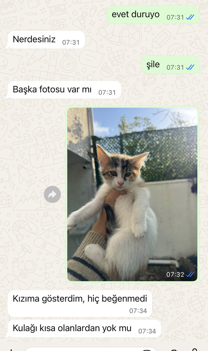 animallover tweet media