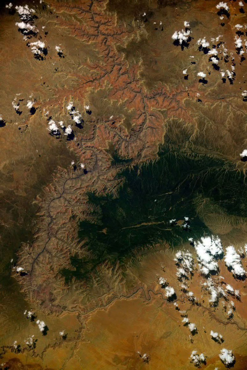 A stunning view of the Grand Canyon from the ISS window.😳