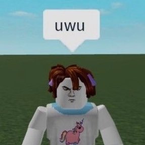 RobloxMemeHub tweet media