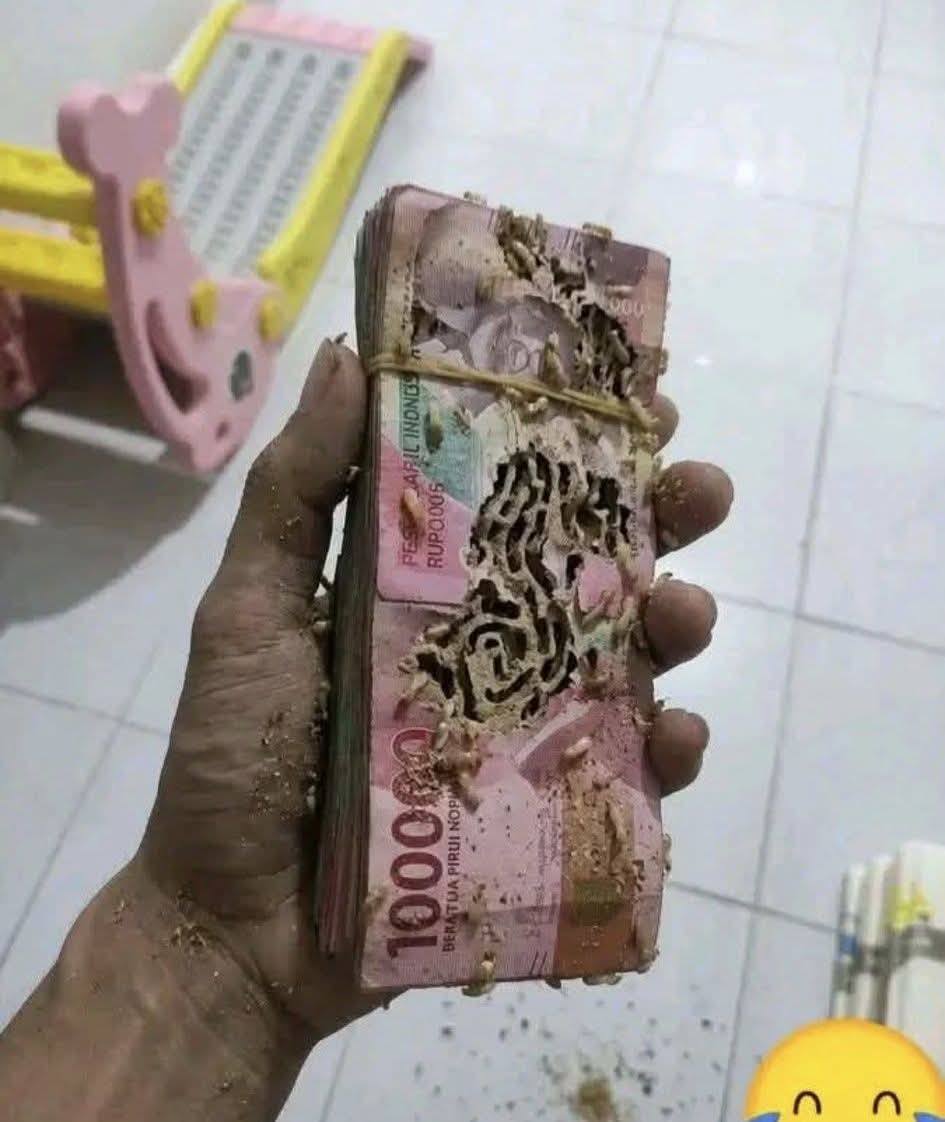 Ketawa itu GRATIS 🛩 tweet media