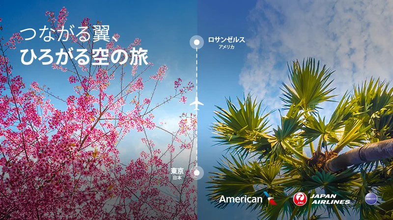 americanair в X: „アメリカン航空とJALで、日本からロサンゼルスなど