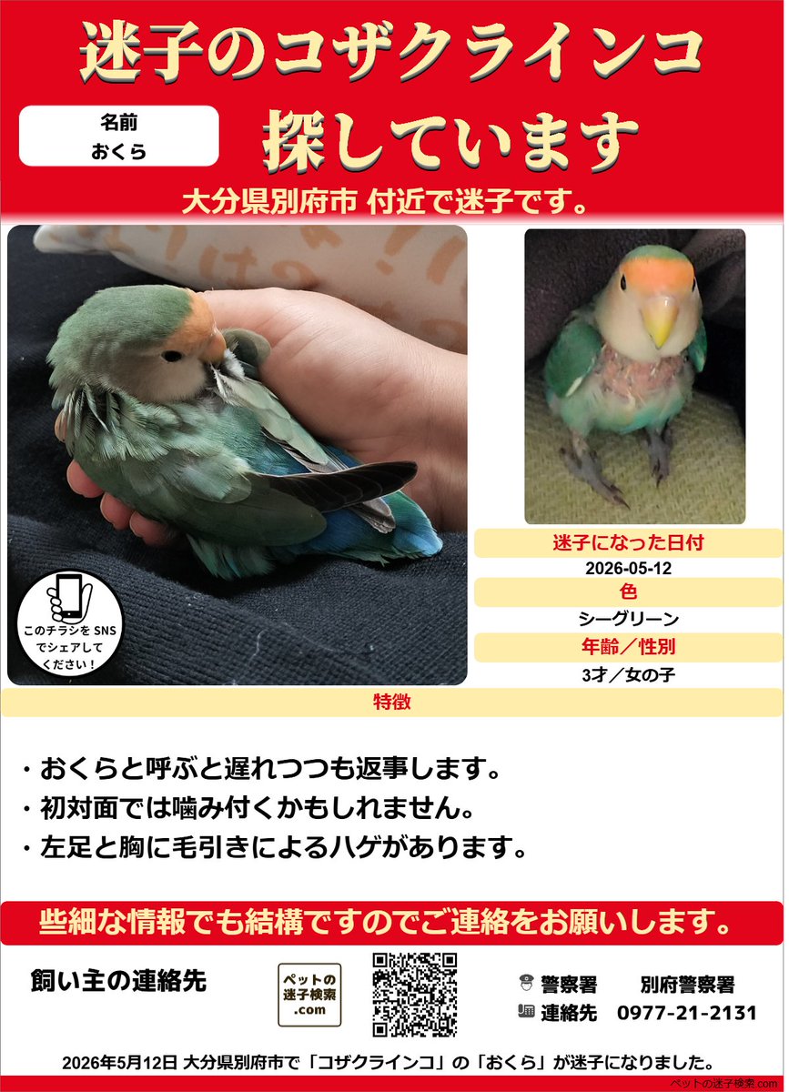 インコ様ご確認用ページ！