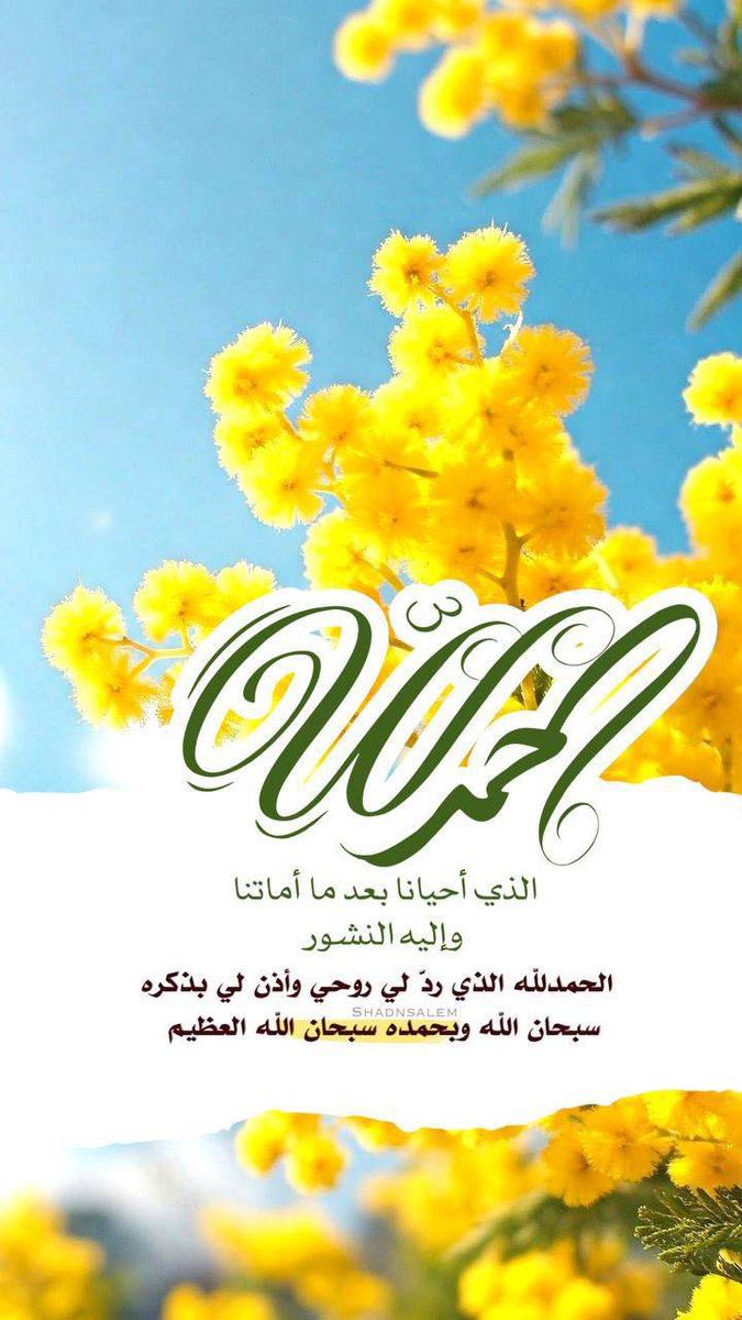 أميرة الورد tweet media