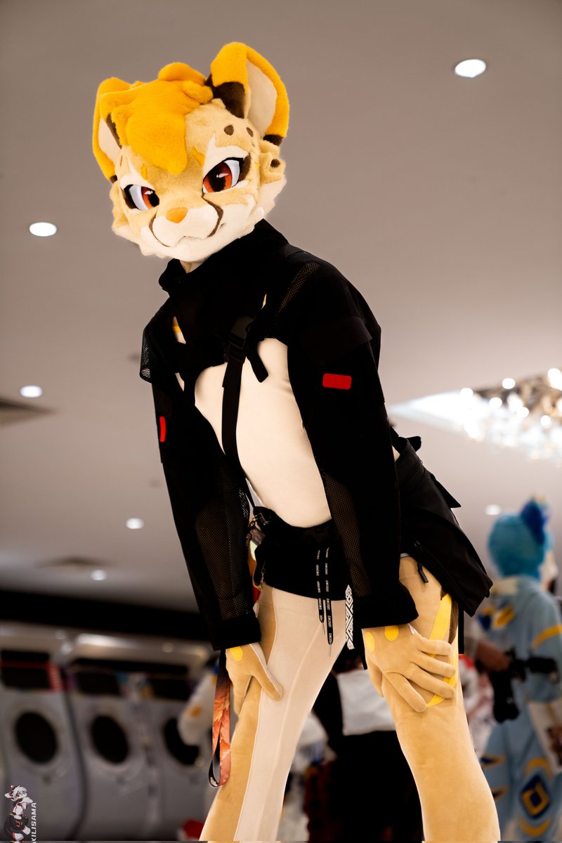 ⚡️CheetahPaws 獵豹爪⚡SiamPaws - OFFF tweet media
