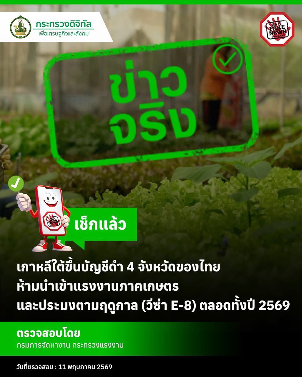 ไดโนเสาร์เกาหลี tweet media