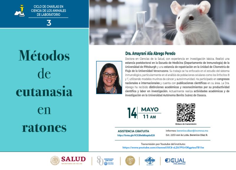 bioterioscom's tweet photo. 🔬🐭 Charla virtual: “Métodos de eutanasia en ratones de laboratorio” junto a la Dra. Amayrani A. Abrego Peredo.

📅 14 mayo 2026
🕚 11:00 h (México)
Más información 👇
https://t.co/8rQqTKBEwn

#Bioterios #BienestarAnimal #CulturaDelCuidado https://t.co/BVCnPjVaju
