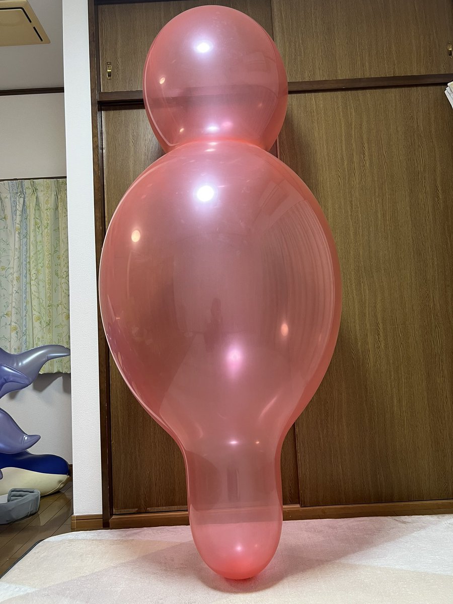 ドール先生 tweet media