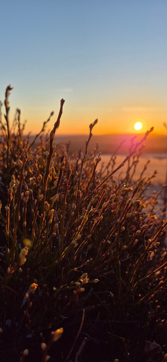 Pratsch8's tweet photo. Guten Morgen.... die Sonne erwacht...  #Sonnenaufgang #sunrise #nature https://t.co/g21O1qnA7K