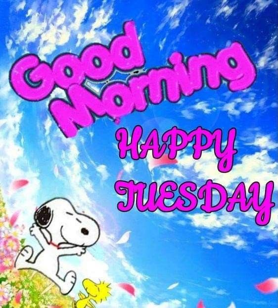 snoopy and friends tweet media
