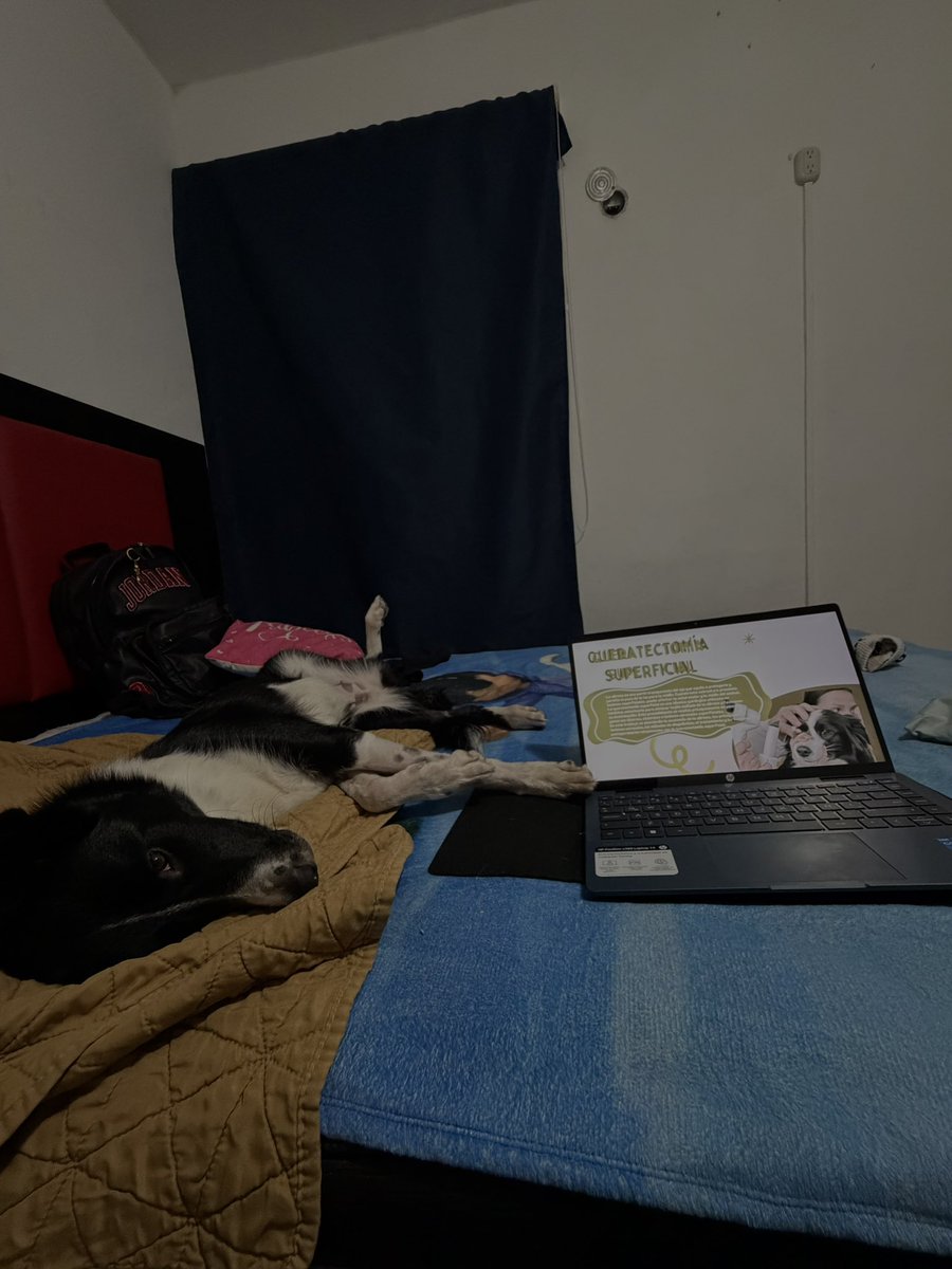 _ontiverosss's tweet photo. Jamás me voy a arrepentir de haber entrado a estudiar esta carrera.
Polo, muñeca y Chalito, va por ustedes, mis bellos angelitos. https://t.co/6CjJq6gb6x