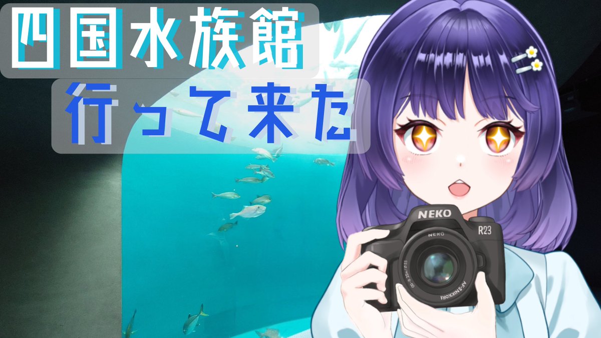 月読かがみ🪞 tweet media