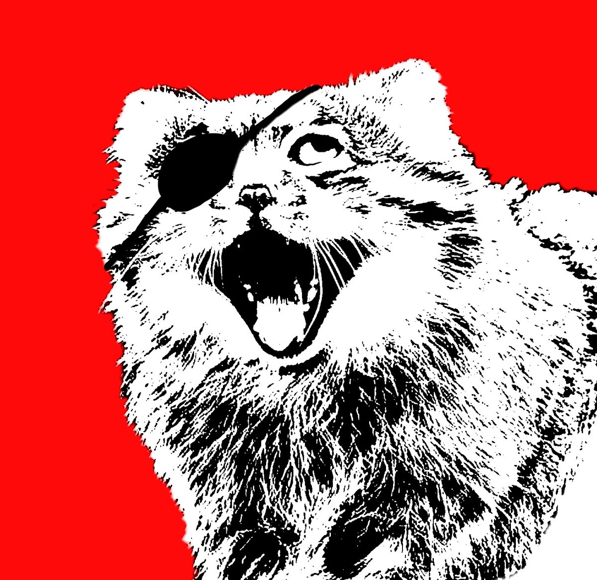 OKMO (comms open 4/5) tweet media