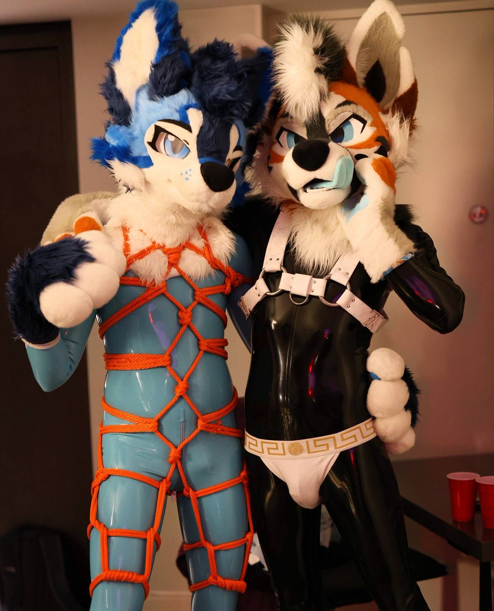 Shiny time with <a href="/skeelshusky/">MacroPlasticEnjoyer 🔜 FWA</a> ✨

📸 <a href="/SonoxxLion/">Sonoxx 🥖 🔜 FWA, Megaplex</a>