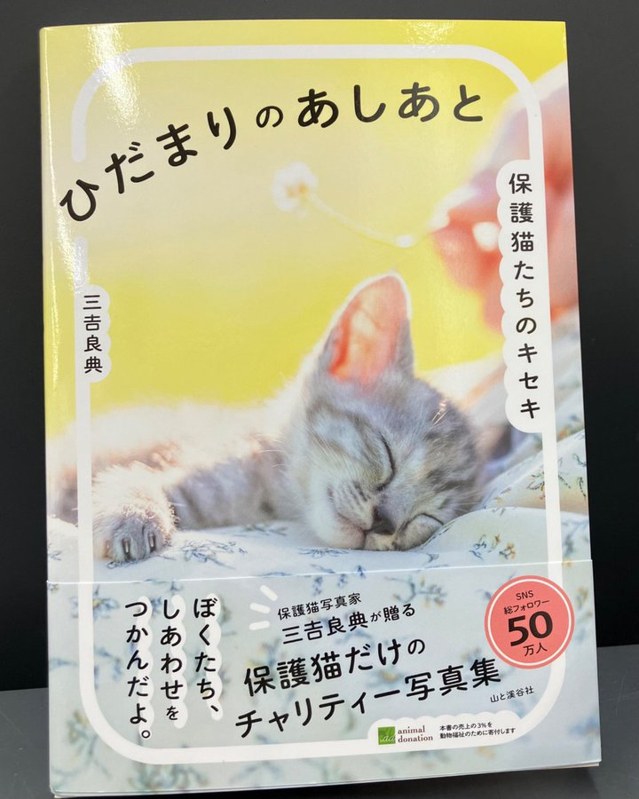 山ネコページ SB-170 猫さんぽ2026年版の名入れカレンダーを格安で販売 - 名入れ