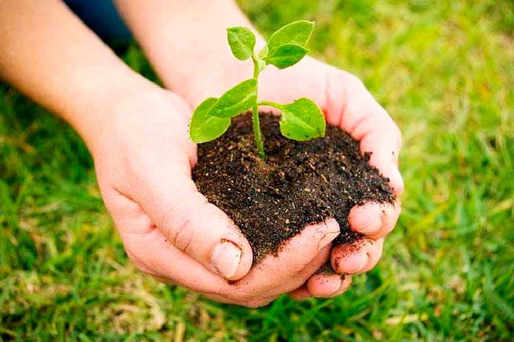 UCSEGOVIA's tweet photo. UCCL-Segovia denuncia que la Consejería todavía no ha pagado las ayudas de zonas desfavorecidas y agricultura ecológica del año 2025. “Con la que está cayendo los agricultores y ganaderos necesitamos tener liquidez para hacer frente a los pagos”
https://t.co/2OrCCjcalH https://t.co/GCQSrs5Utk