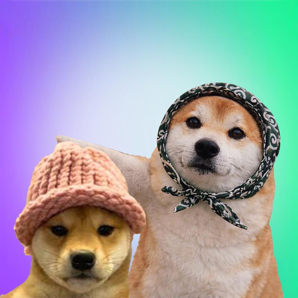 Fren tweet media