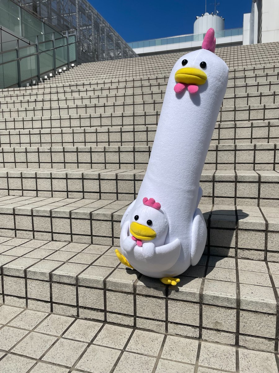 【公式】ぱちぱちるんるん tweet media