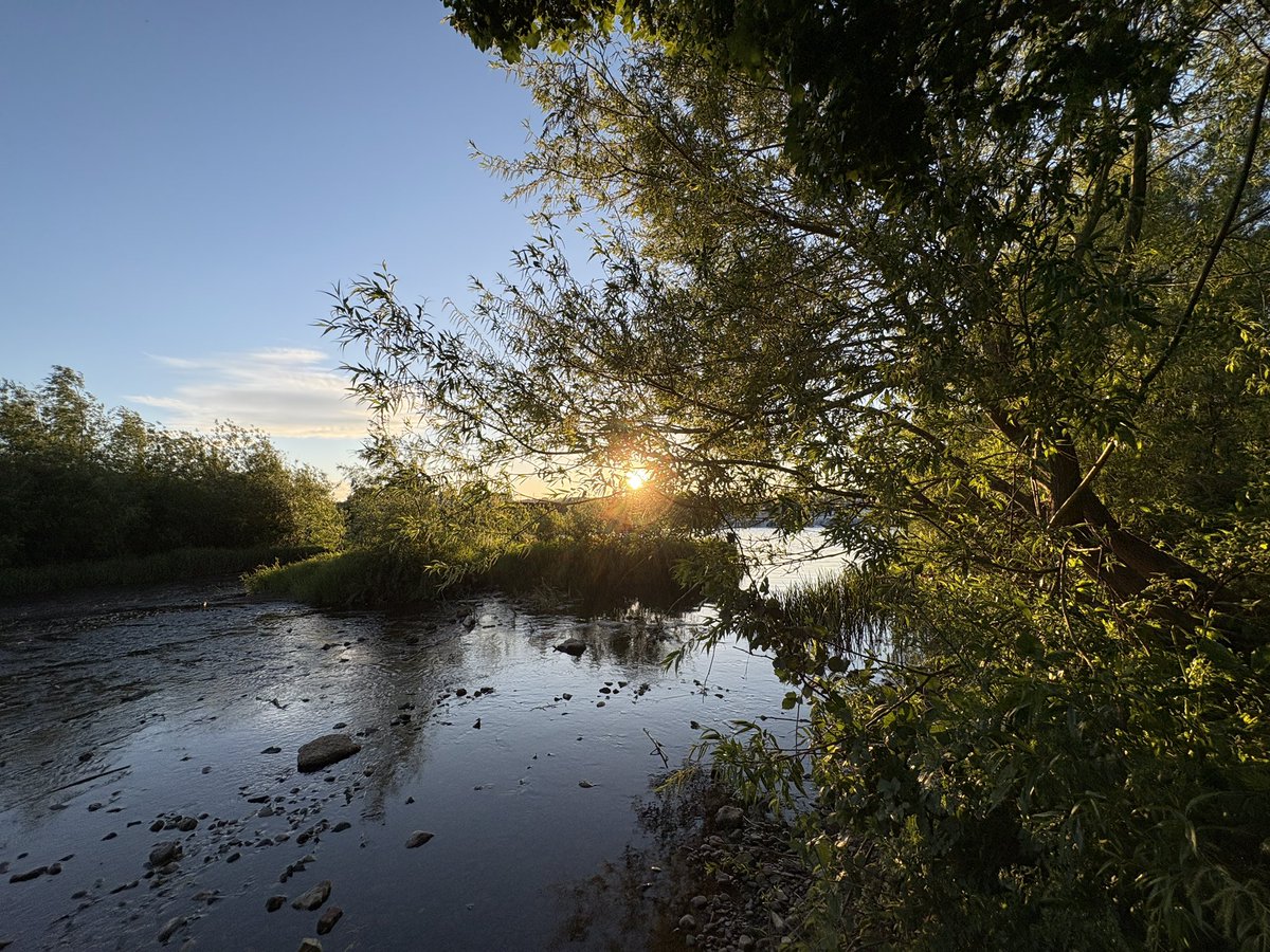 Exeter Trees tweet media